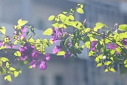 mama kohtaa haasteita